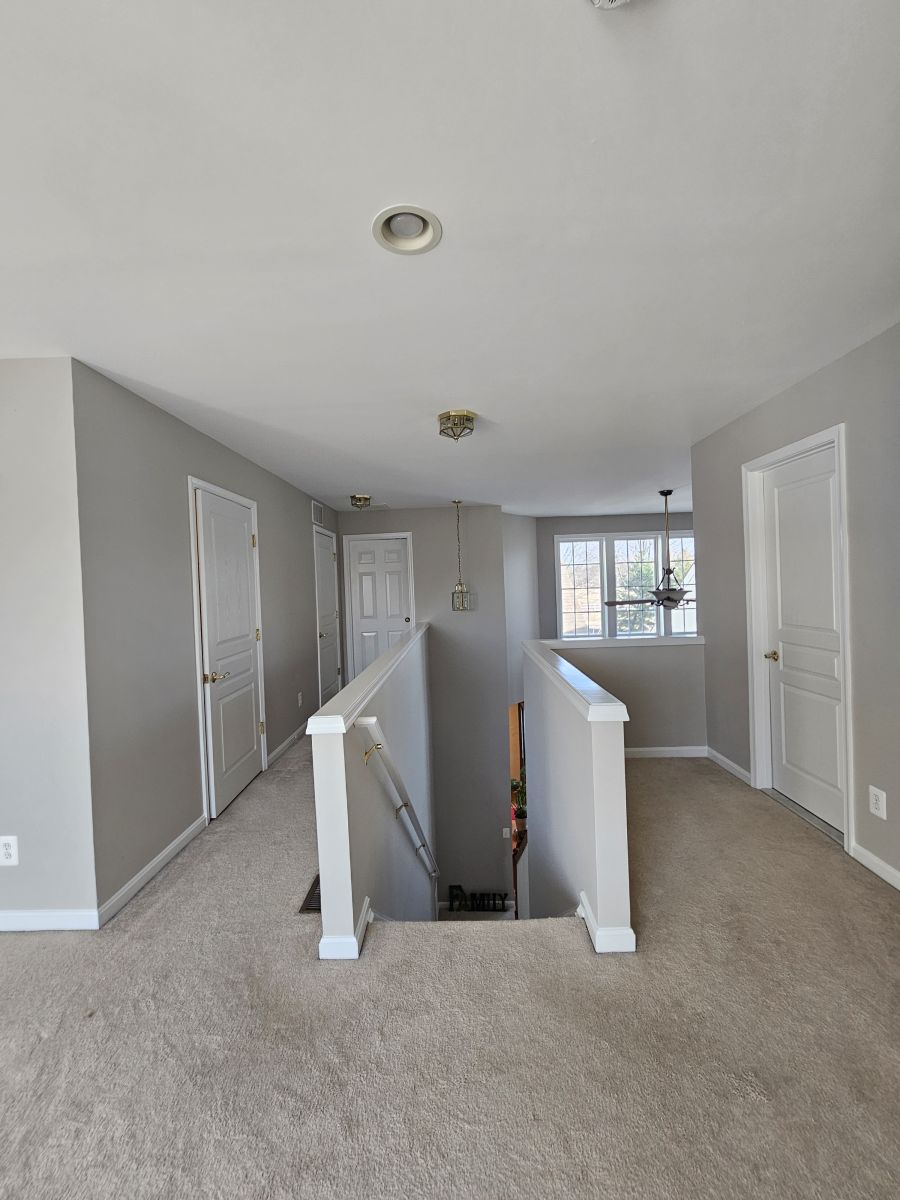 wallpaper removal in montague nj